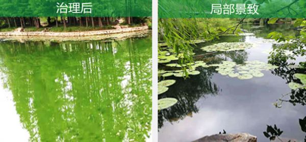 水景园的美丽蜕变