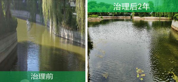 实施效果
