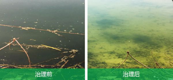 黑臭河道应急处置